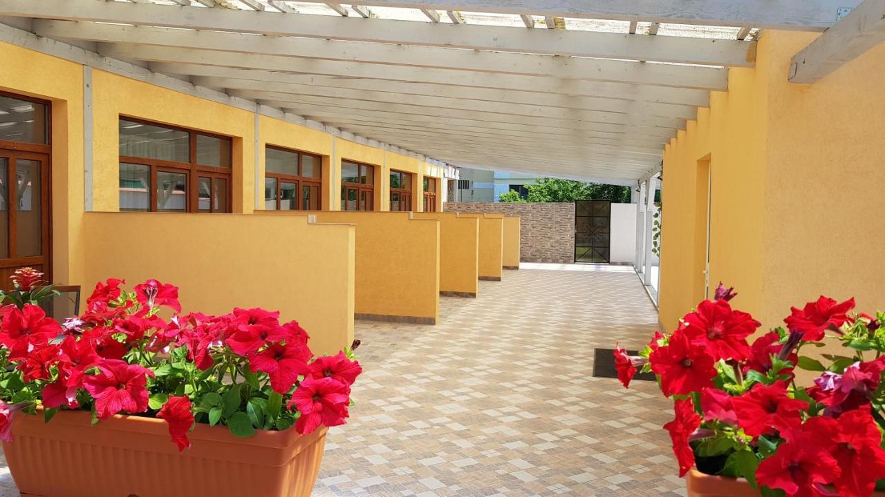 فندق Resting House براشوف المظهر الخارجي الصورة